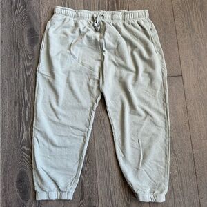 Mono B Cropped Pants in Light Blue Size 3XL